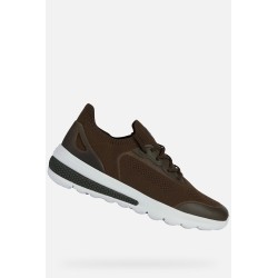 sneakers kaki GEOX pour Bayard