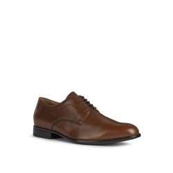 chaussures marron GEOX modèle Iacopo