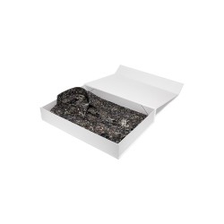 chemise en coton kaki imprimé cachemire